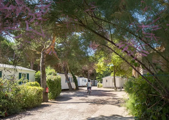 Le Suroit Campsite 3*